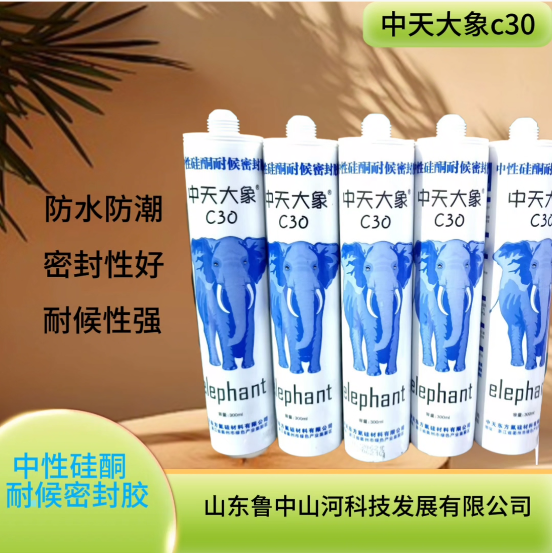 中天大象C30  1.png