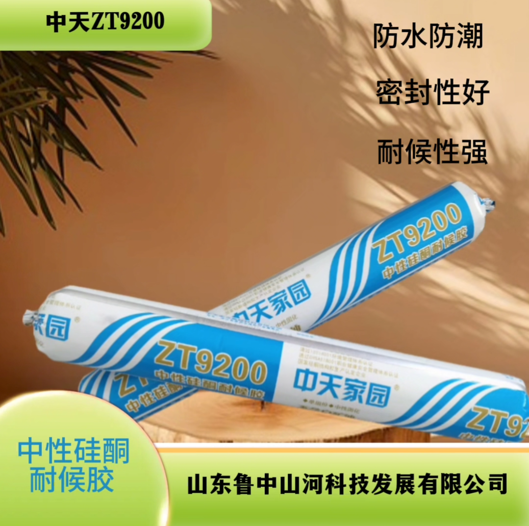 中天大象ZT9200  1.png